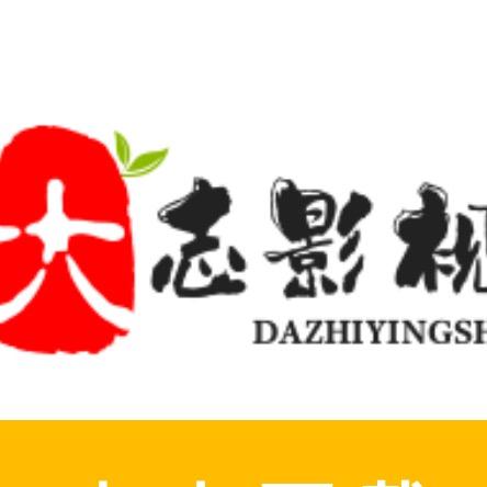 大志影视