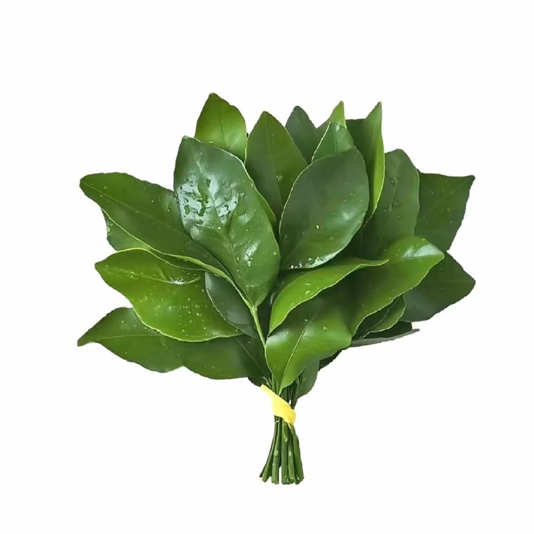 无敌旋风大🥚挞^o^