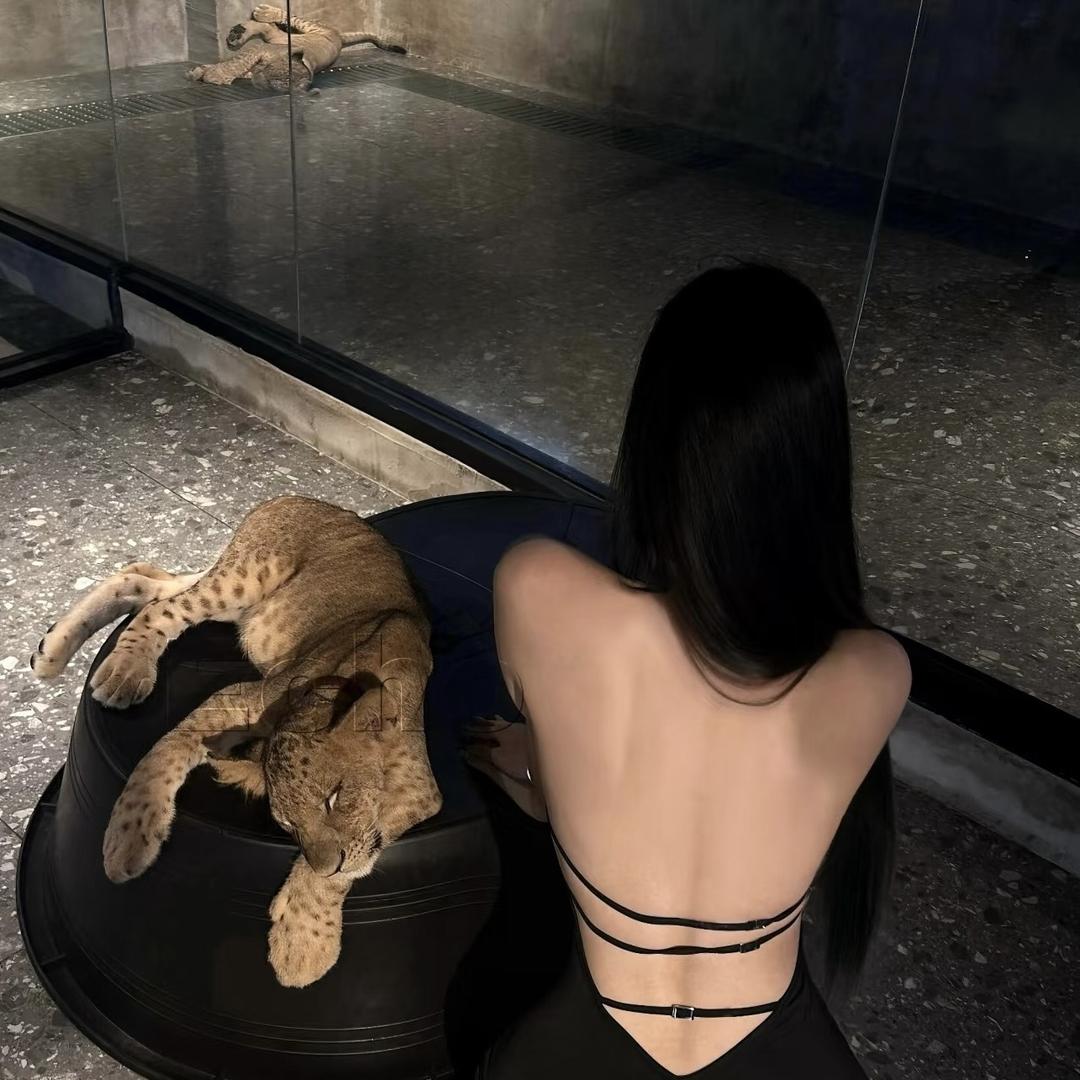 治愈慧慧