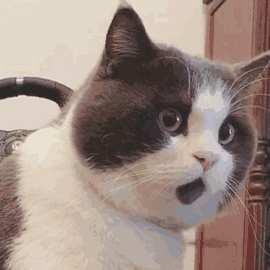 昔念