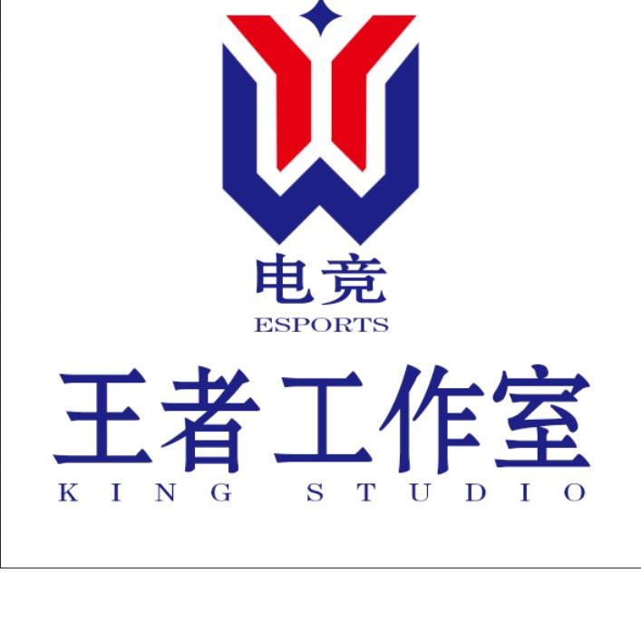 王者荣耀Wy（工作室）