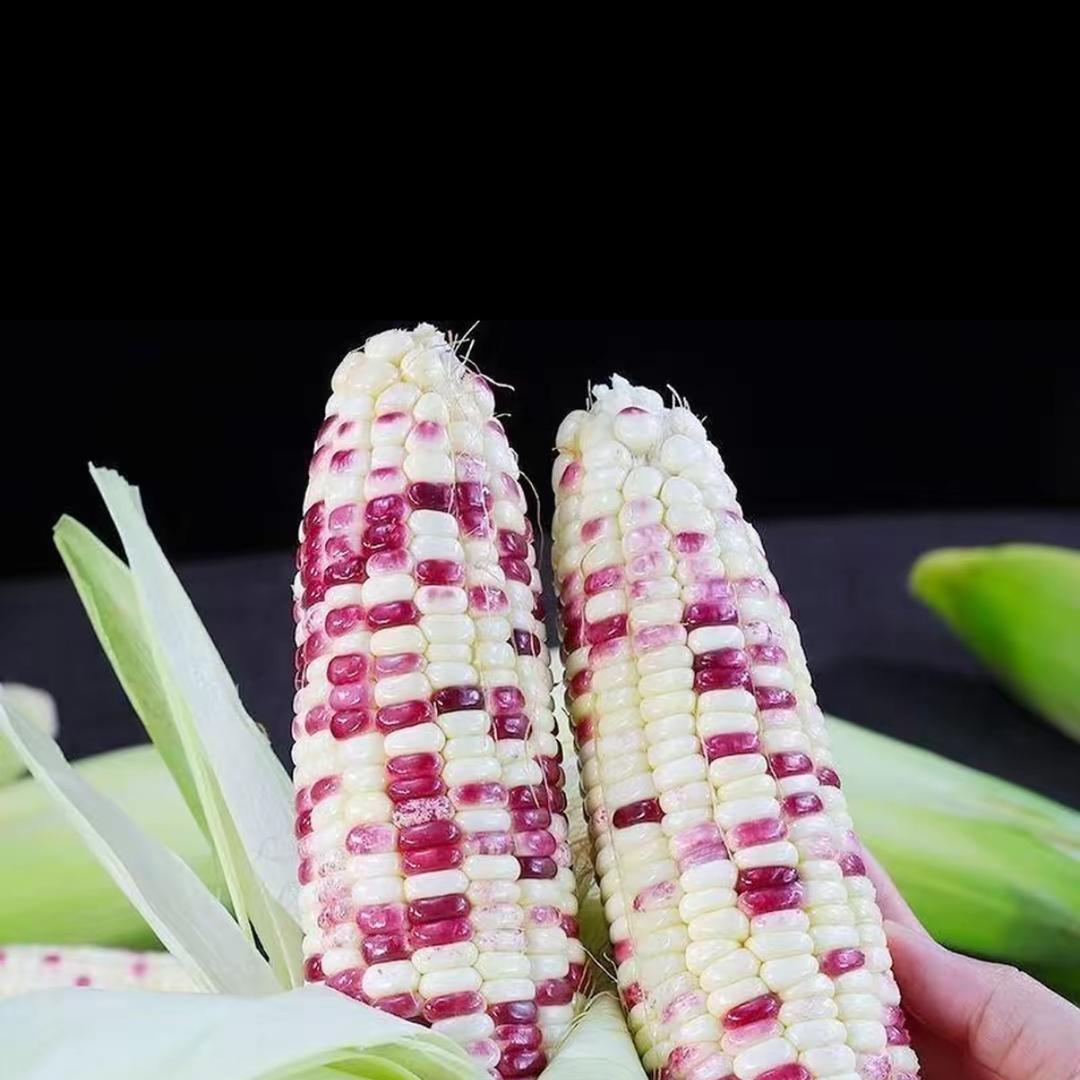 徐州多糖食品