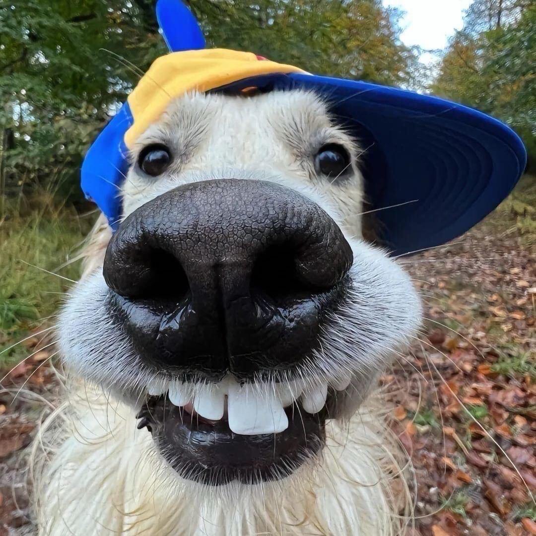 重生之我在南宁贴膜