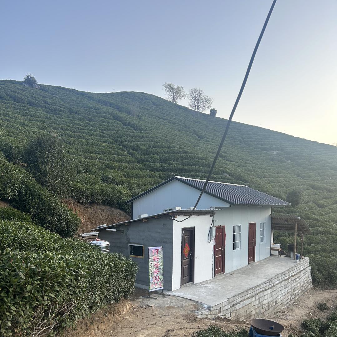 阿梅哥家正宗信阳毛尖（四望山大山高山茶）