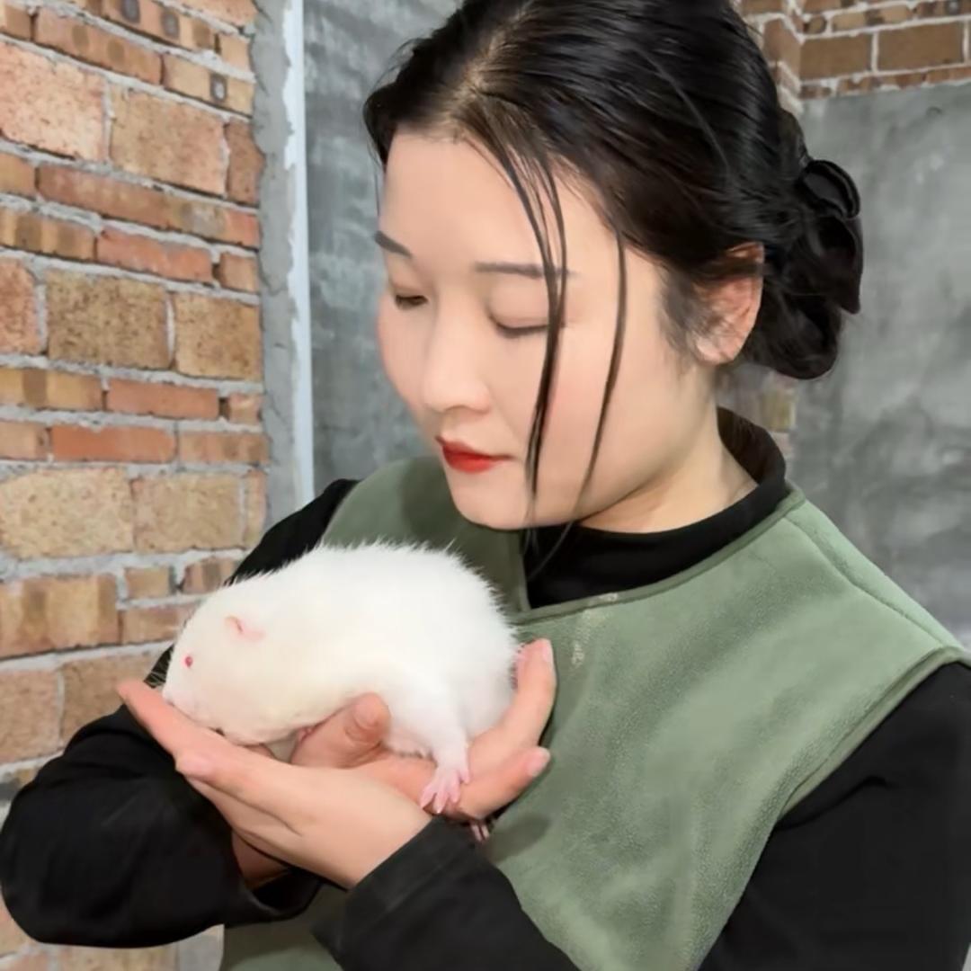 虔城小花助理