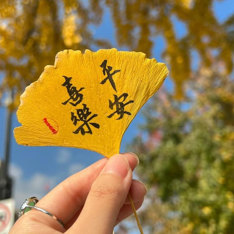 蓓蓓家纺