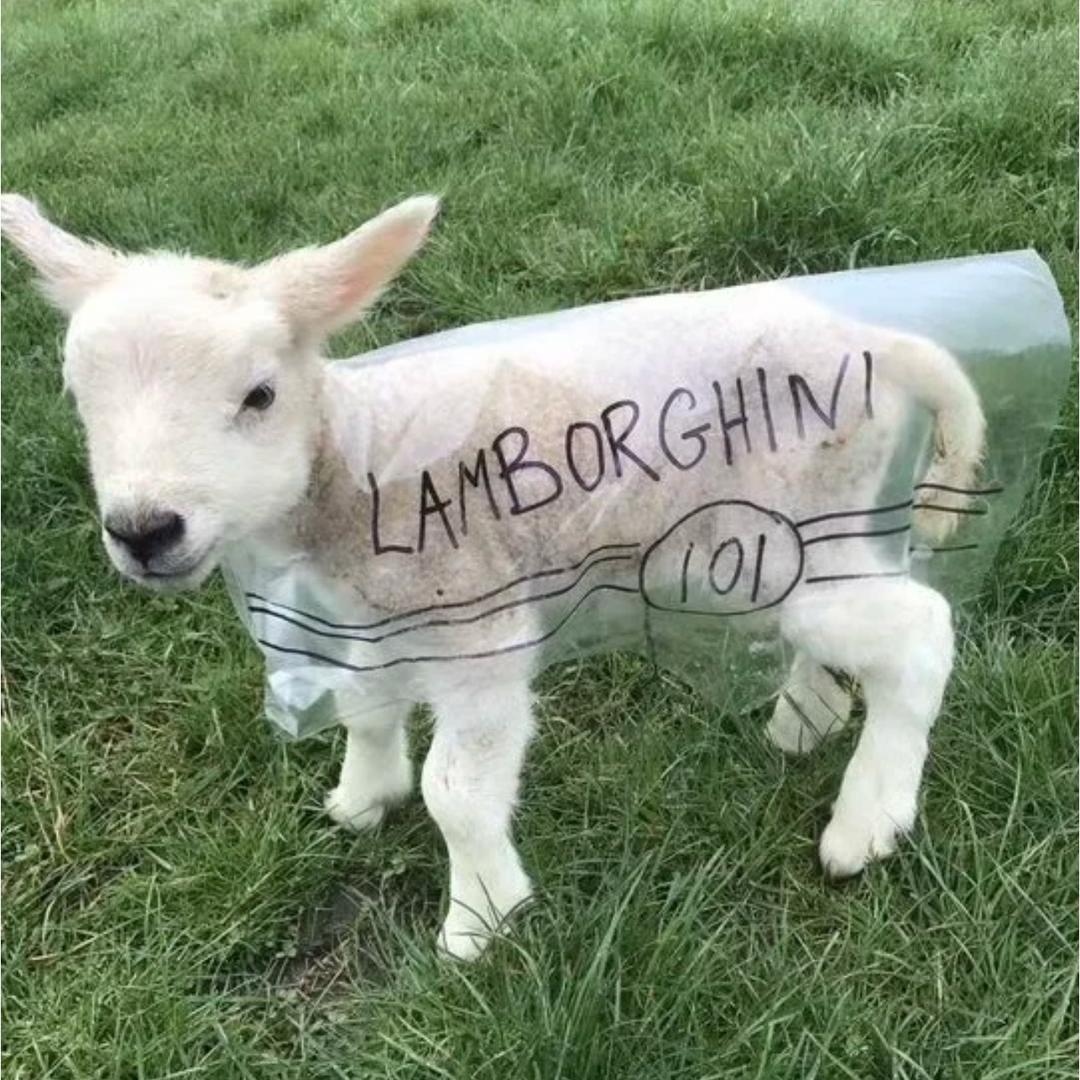 yyyy