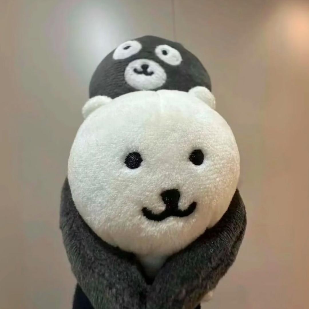 深情的粉面菜蛋