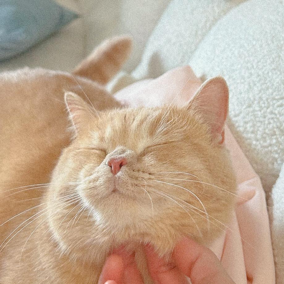 富贵二饼在杭州