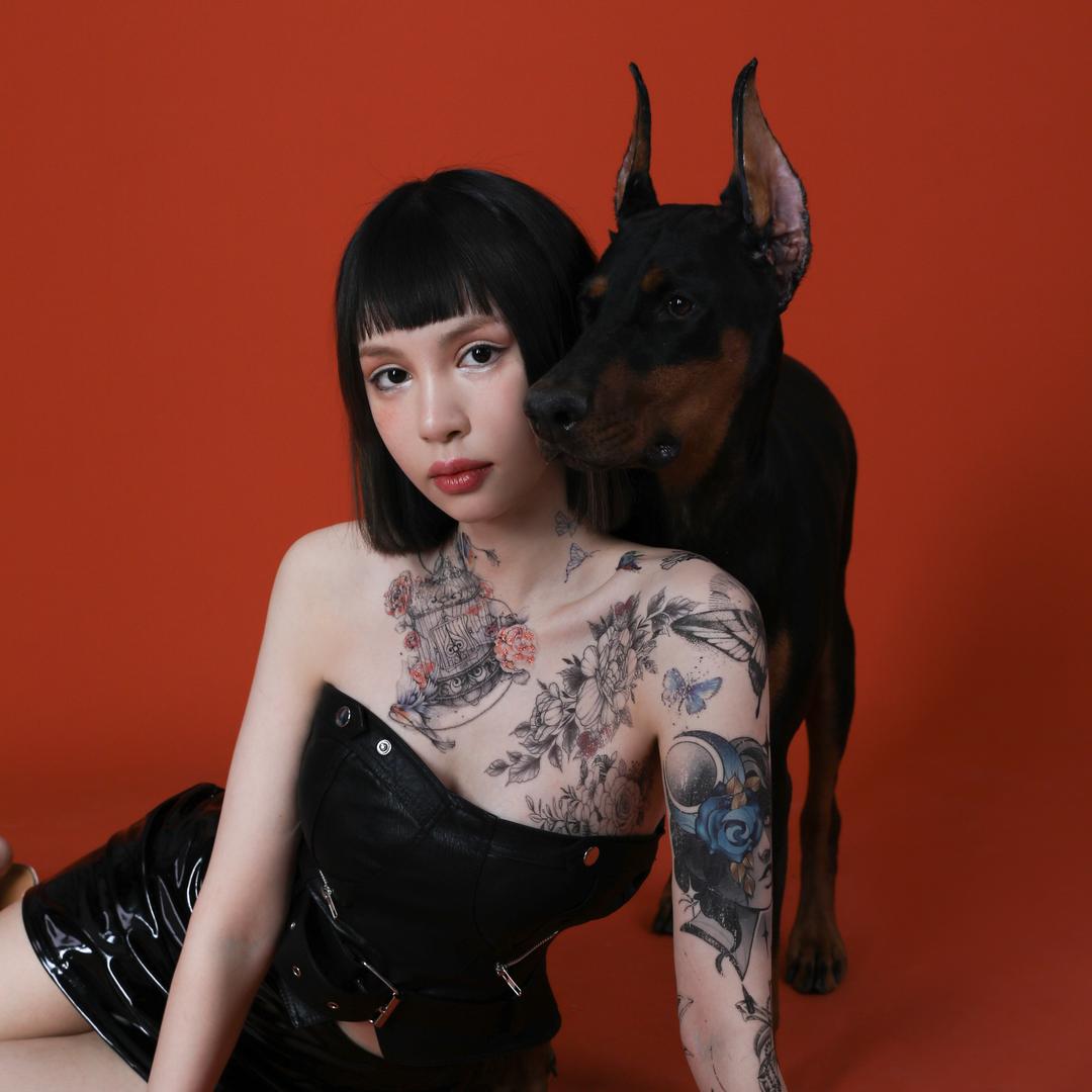 上海星系豹猫Galact cat