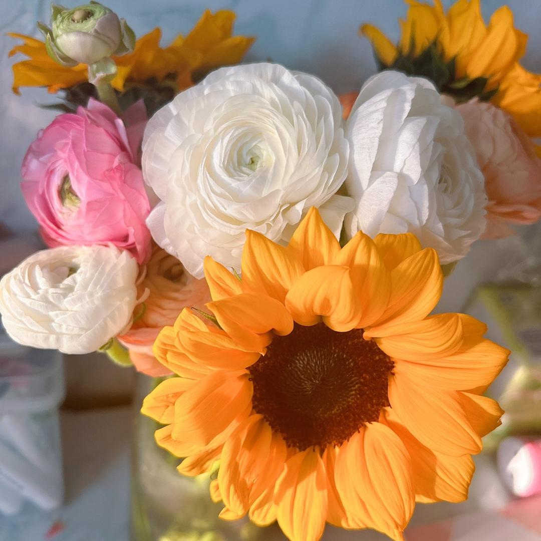 🌈 🌈郑大钱¥