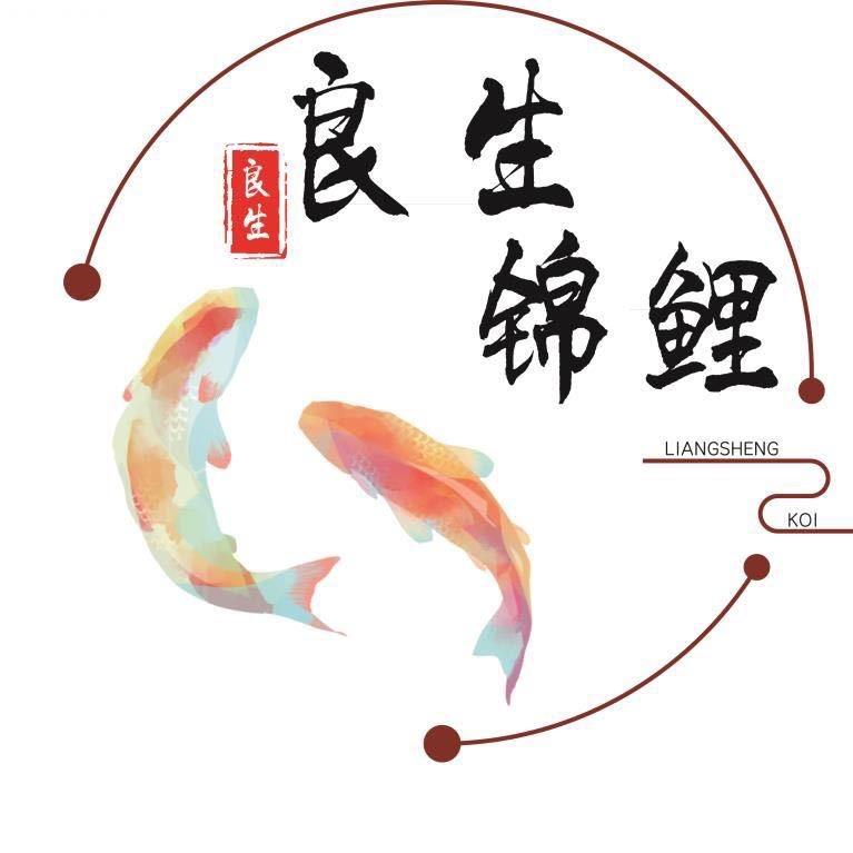 良生锦鲤（小号）