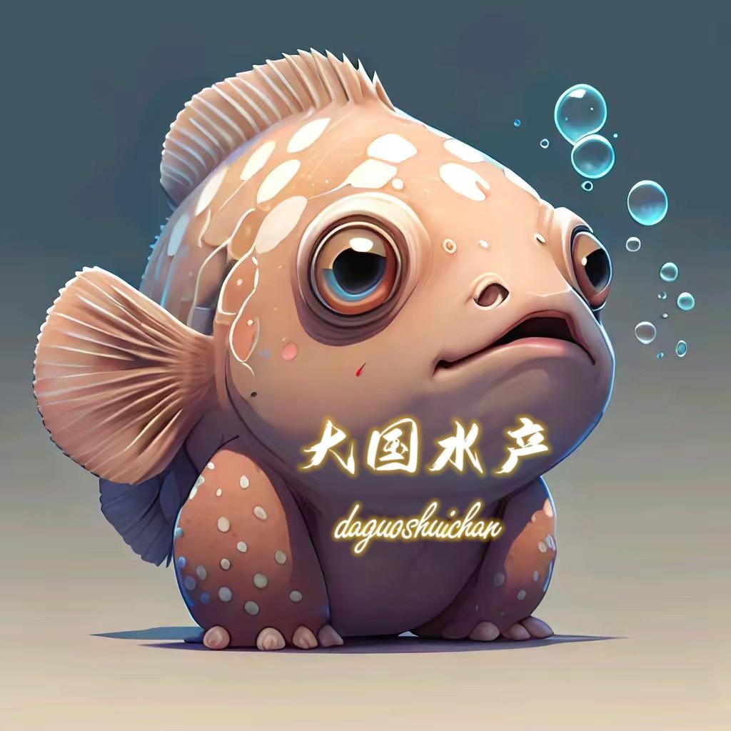 大国水产🇨🇳