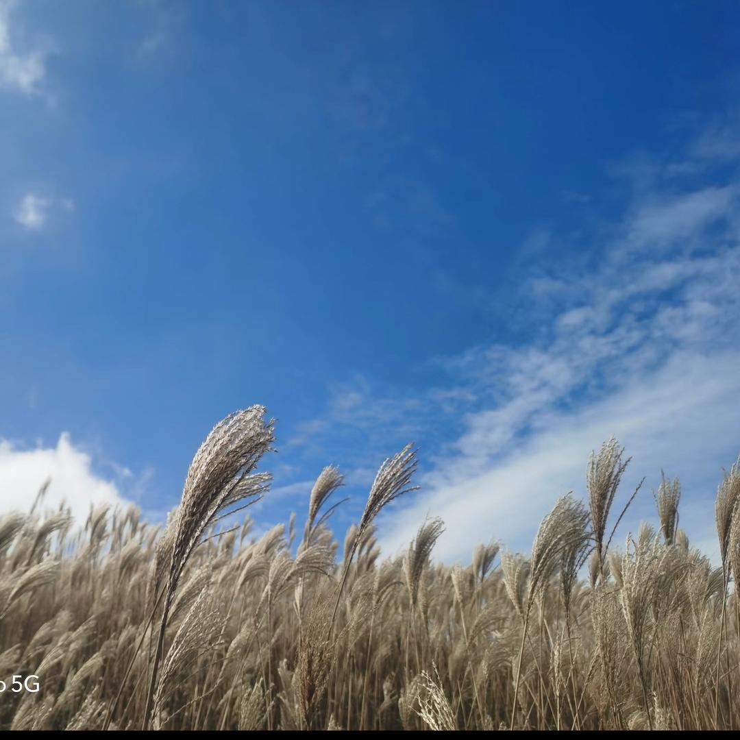 岁月静好💞💞请勿连赞