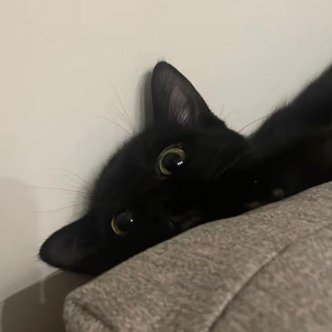 鸣