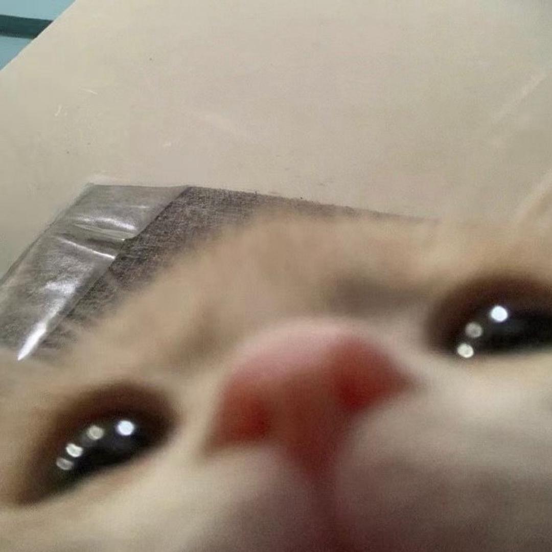 么凹猫☆