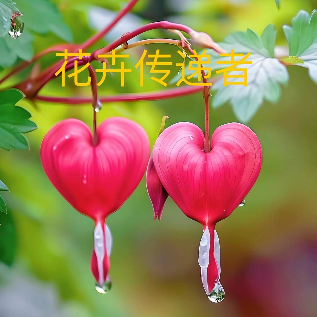 花卉传递者