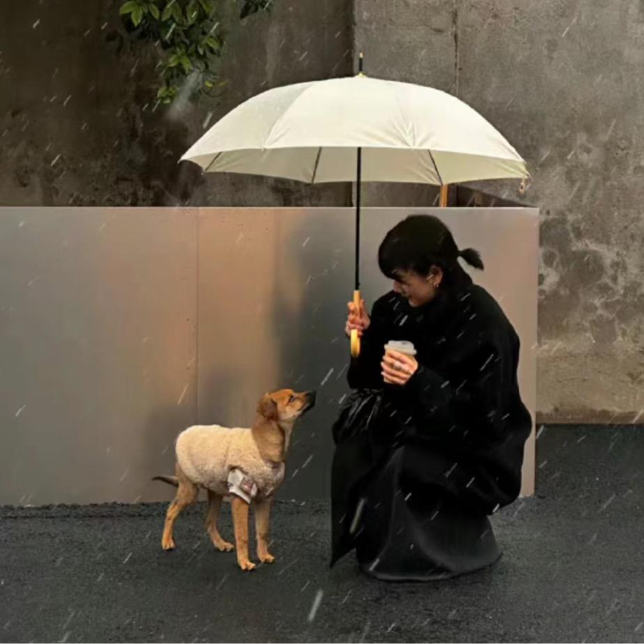 是七七
