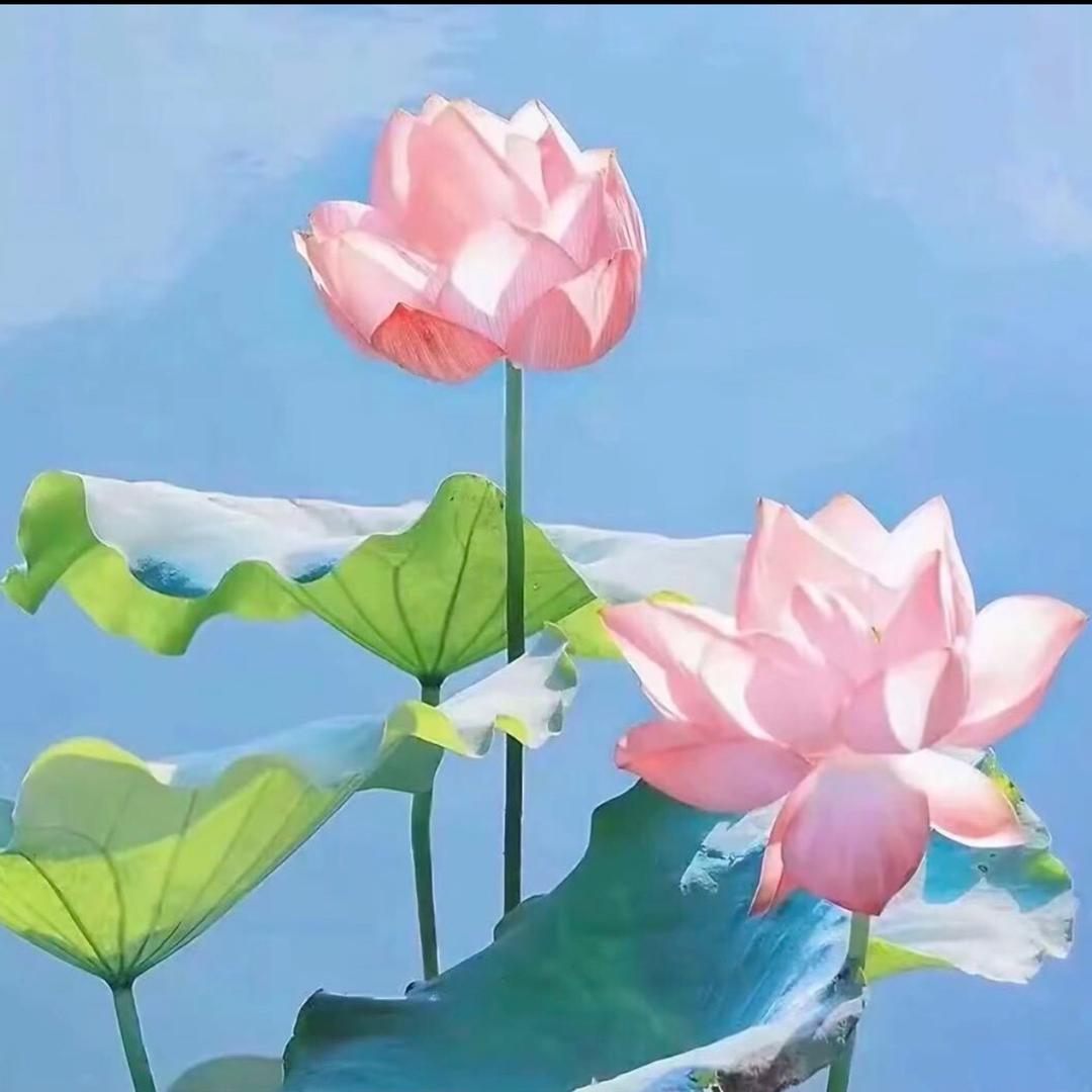 老味道精选