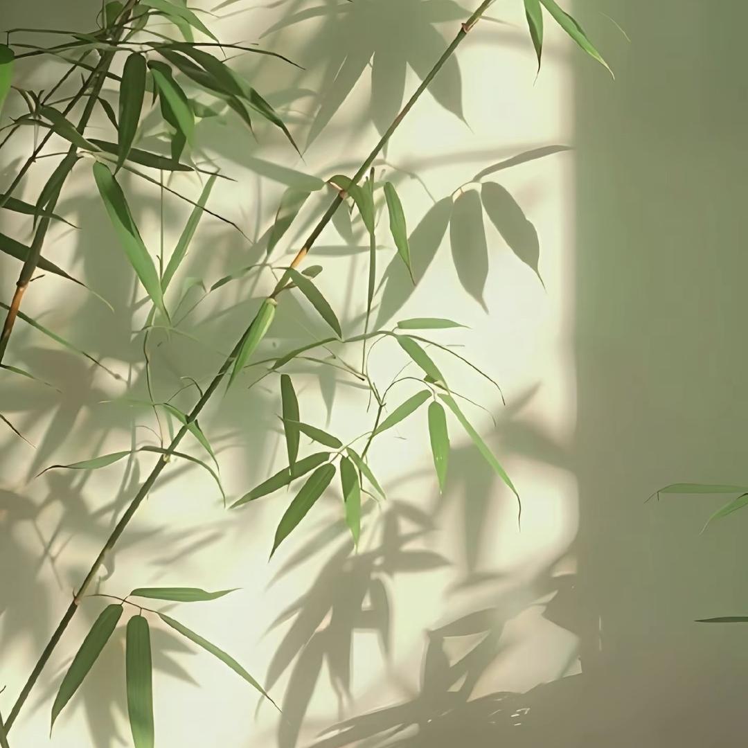 竹径