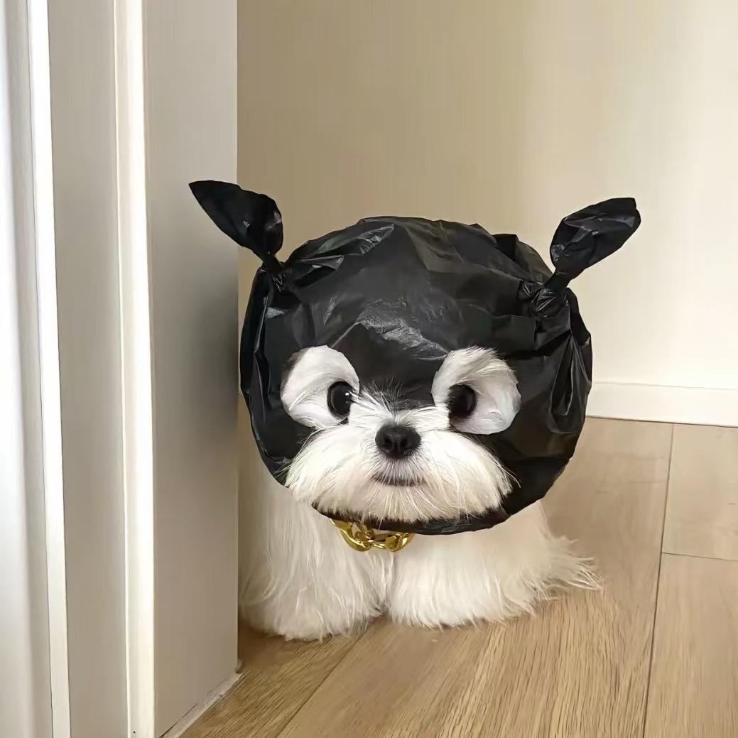 杨枝甘怒.头像