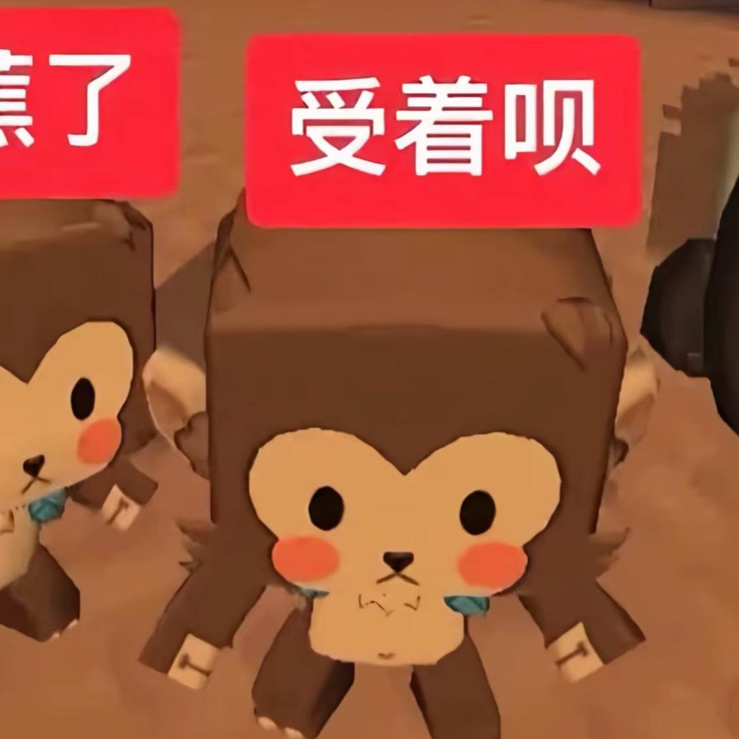 舟舟