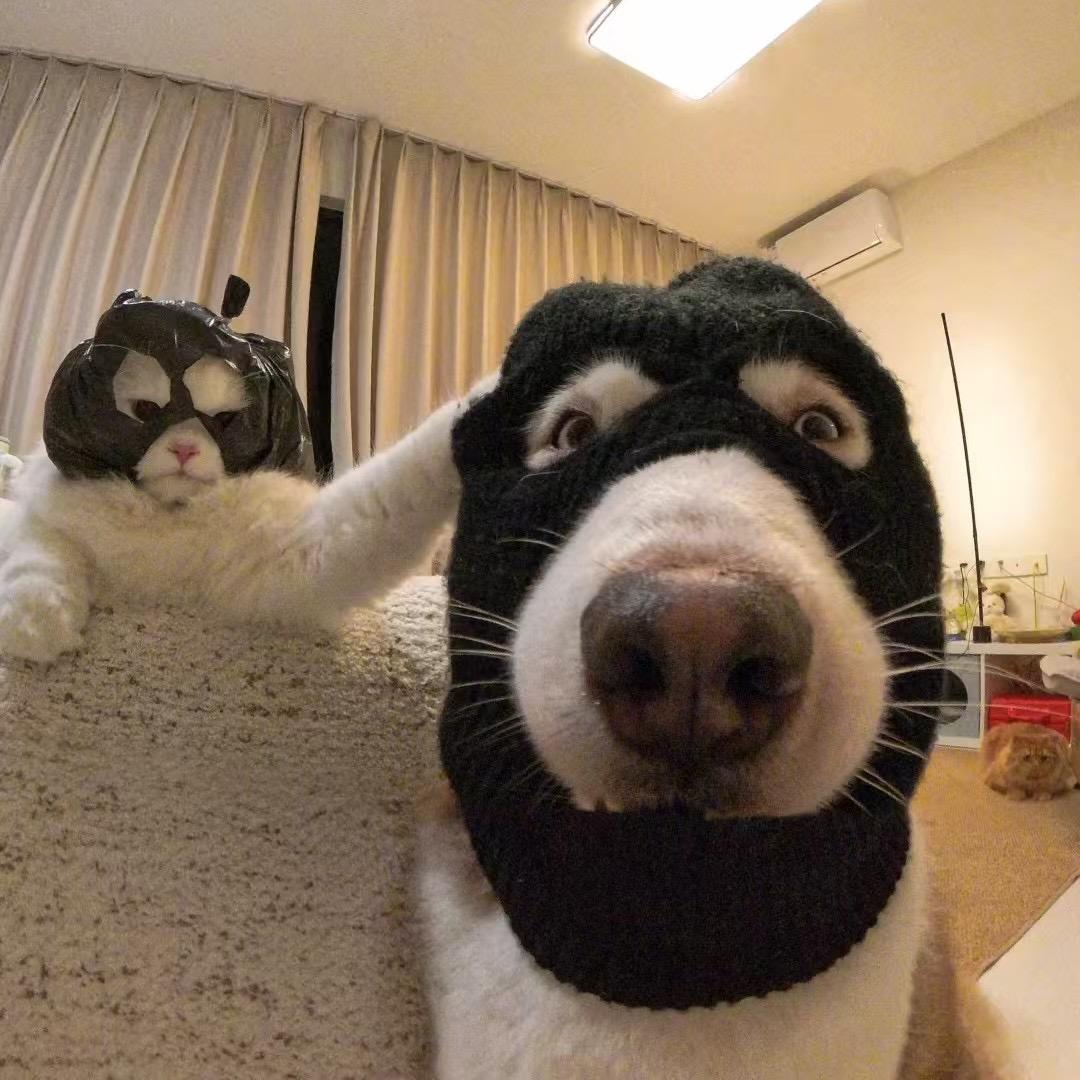 悲傷玉米排骨湯