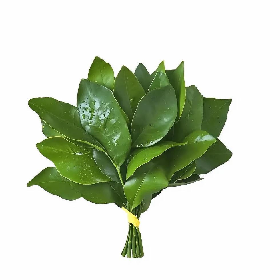 小輕