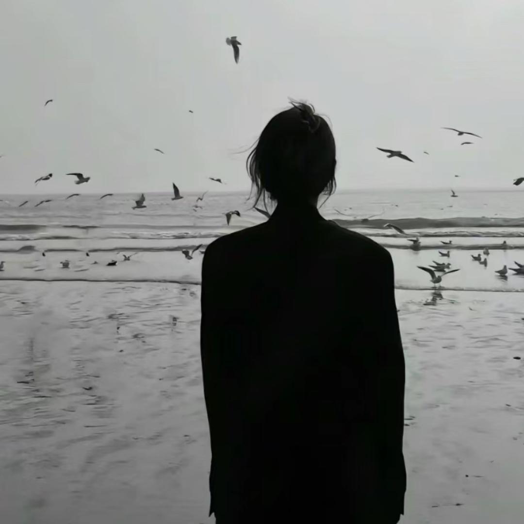 梦雪•