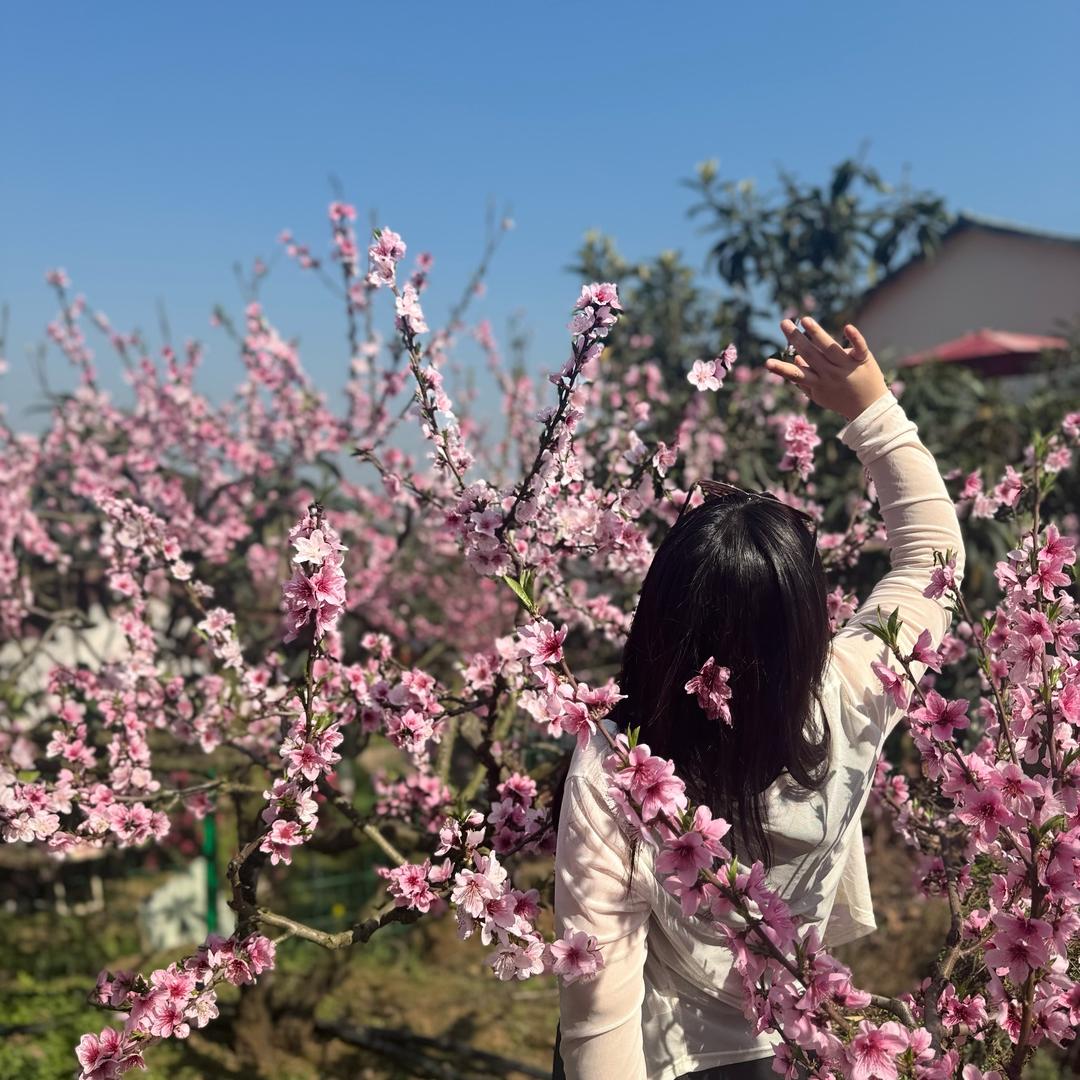 大宝宝