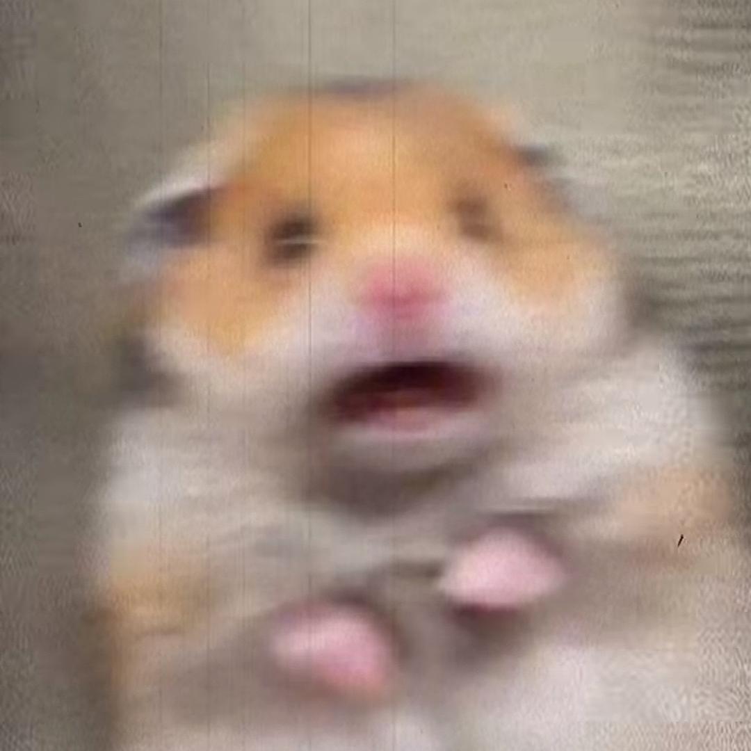 菜坤互啄记