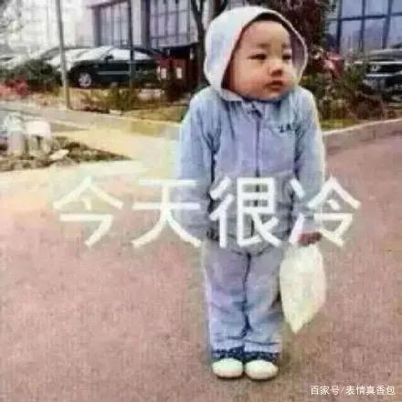小牛