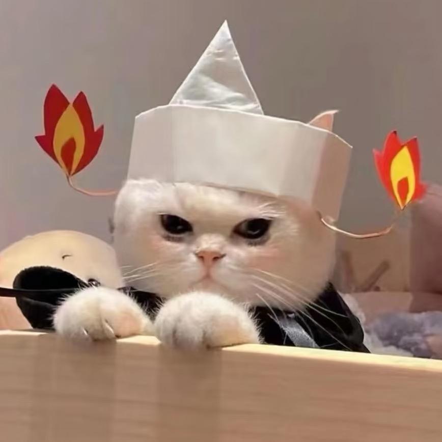 喵咪怪