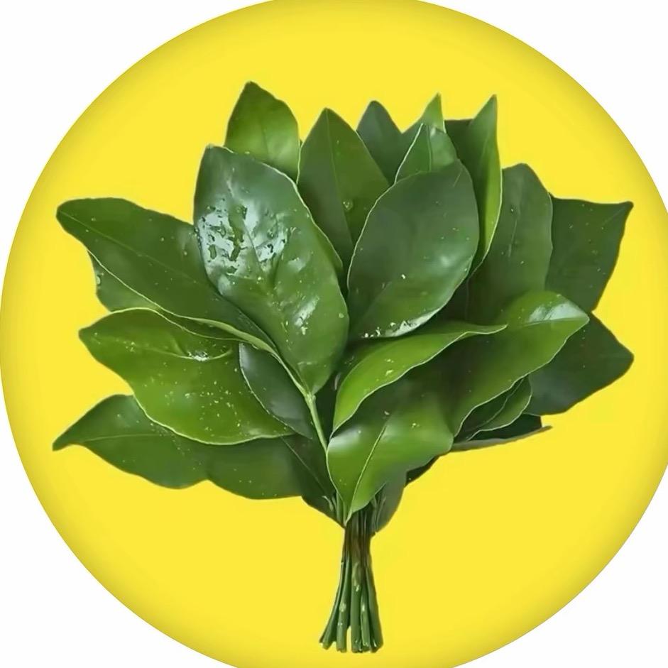 鱼儿 🐮⁰⁵.₂₄赵℘࿐