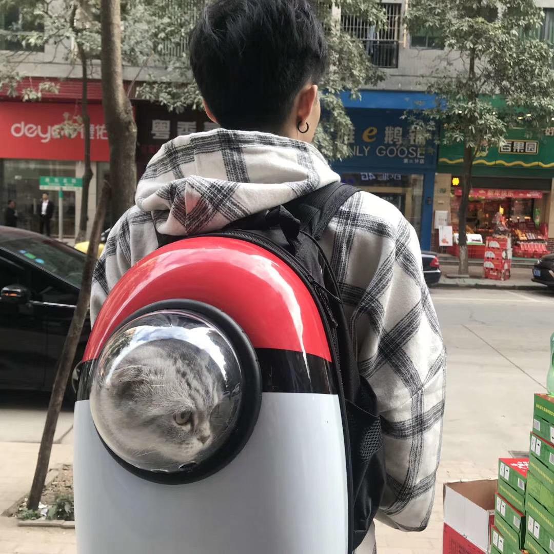 甴居