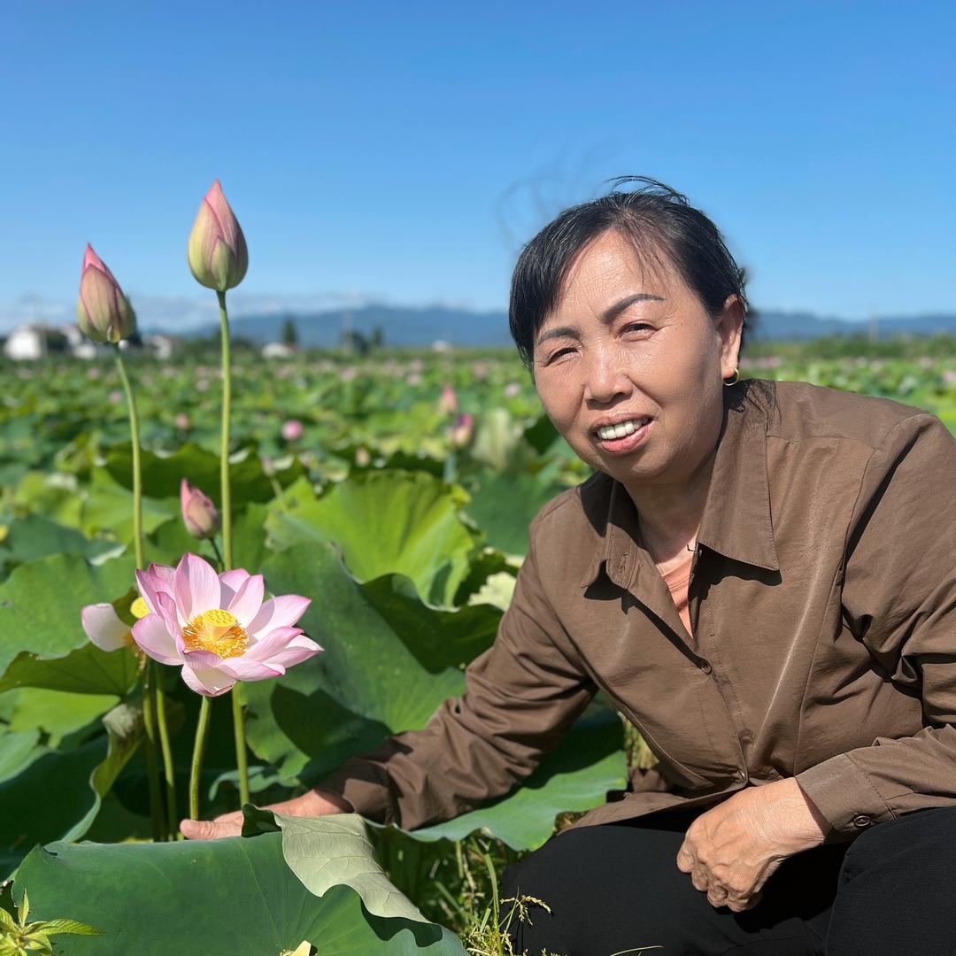 乡村荷花姐