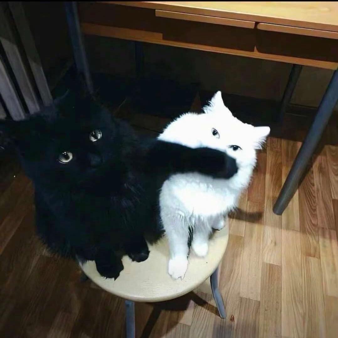 .S.