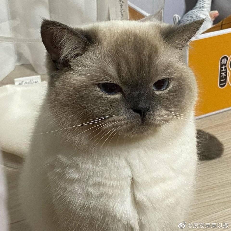 我对钱没兴趣（银行打工版）