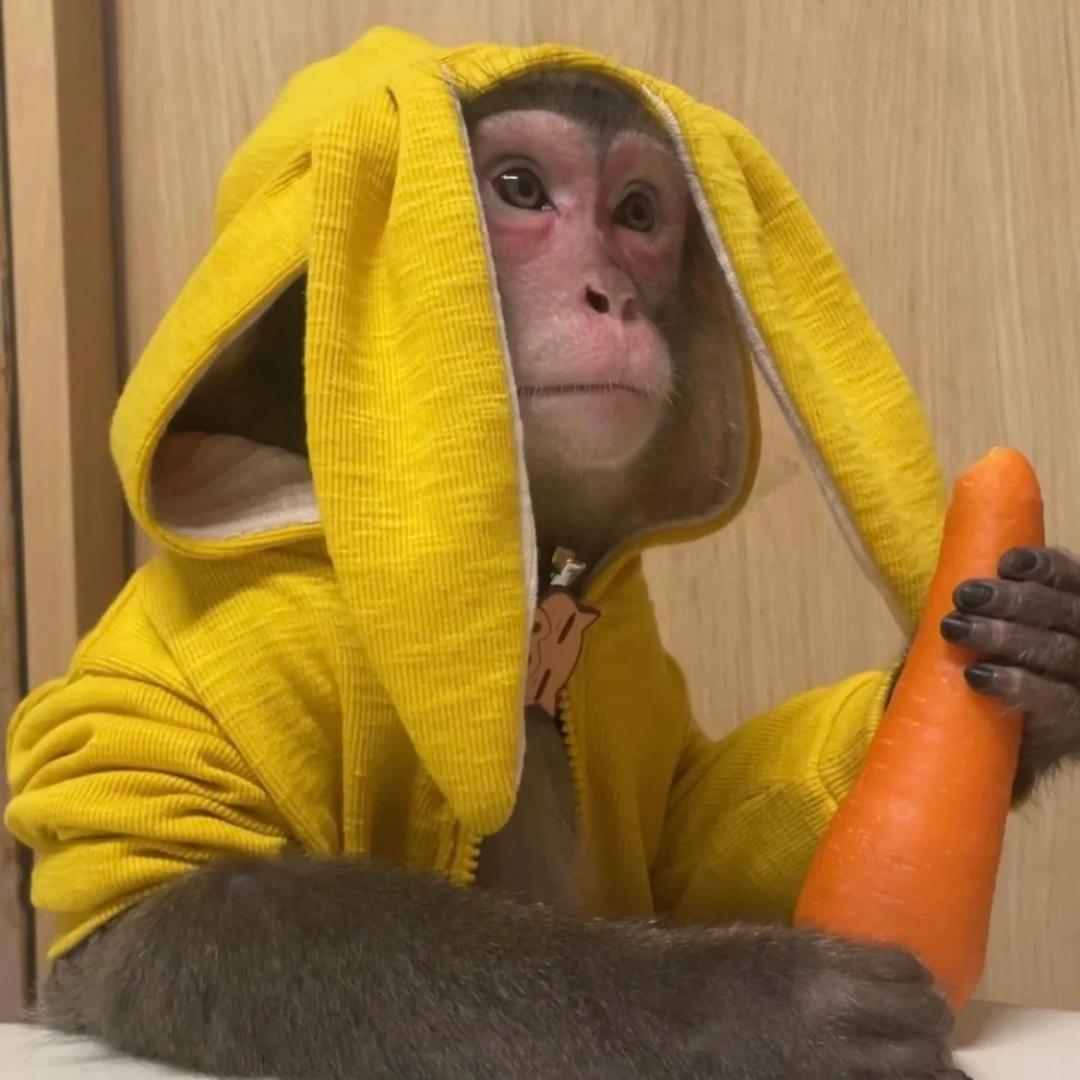 我真的好困