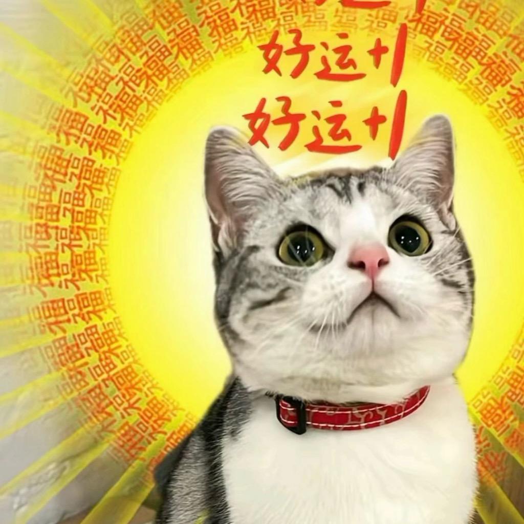 🌈娃娃。