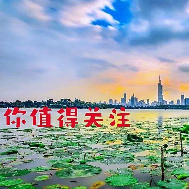 南京酒旅 丁军