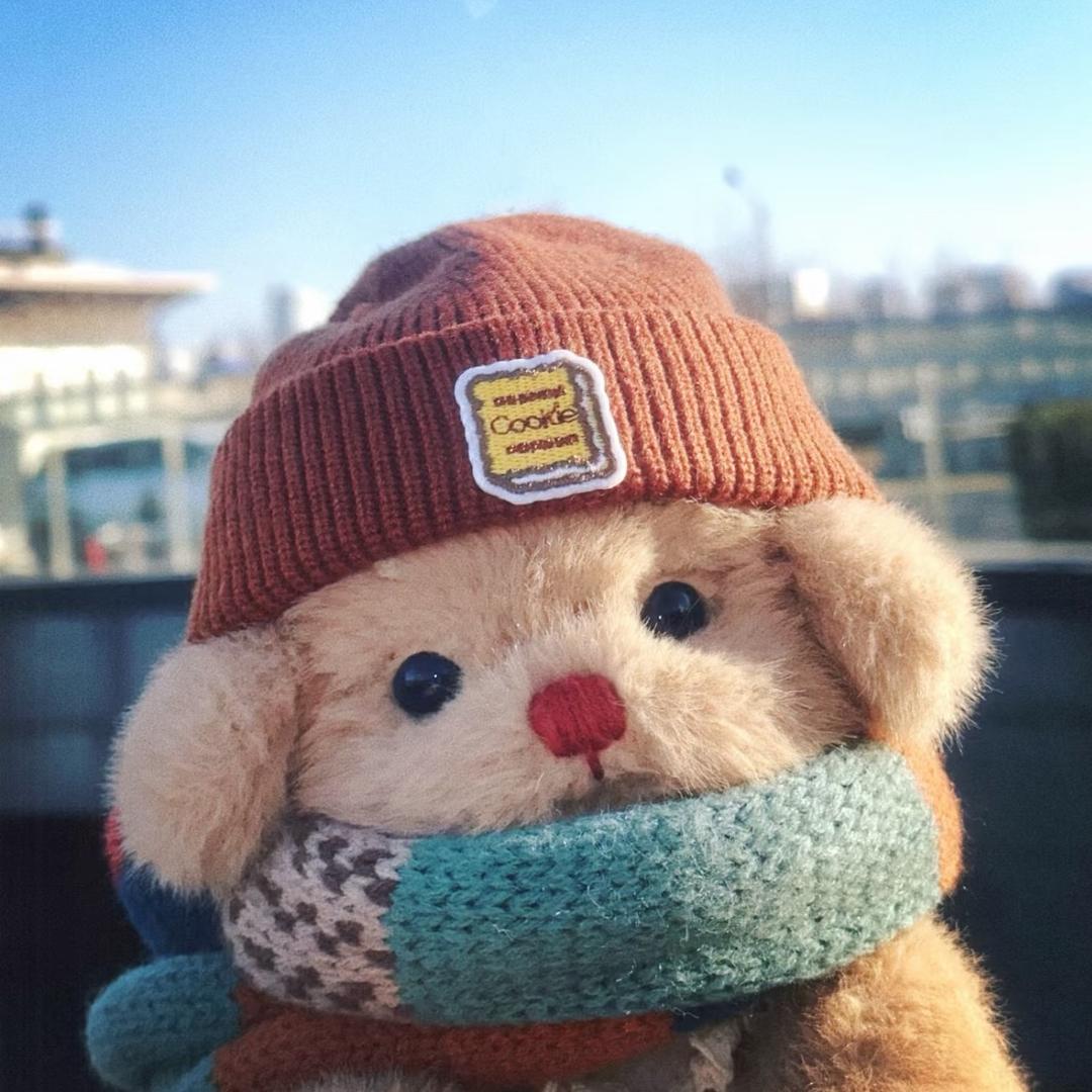 请不要给我荳干