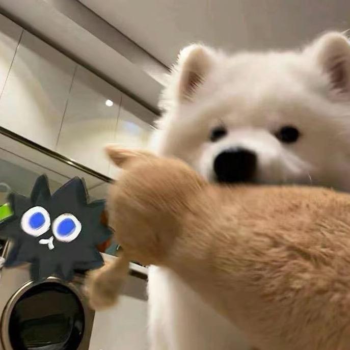 望右