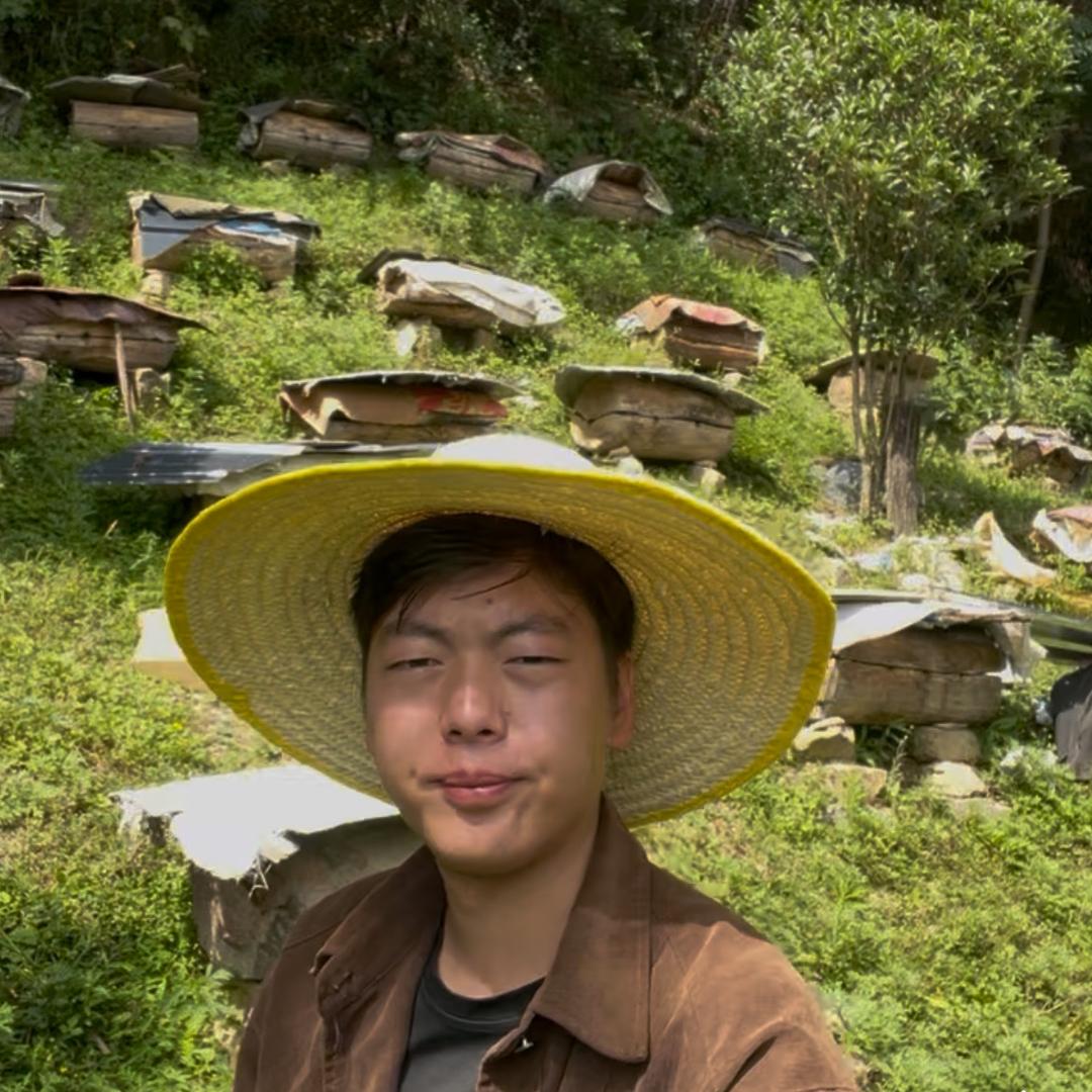 秦岭老尹蜂蜜
