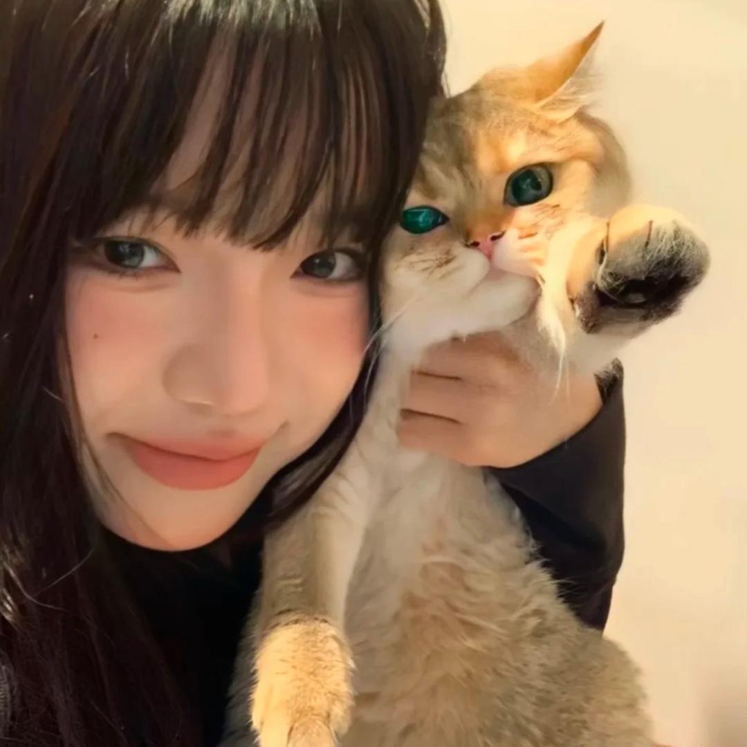 毛毛🌷
