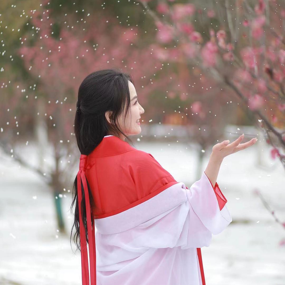 小鹿乱撞✨