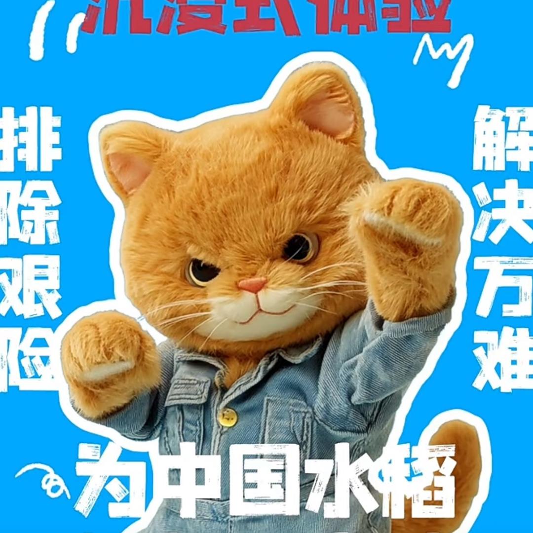 稻梦成真