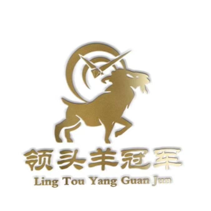 领头羊奢品汇名表