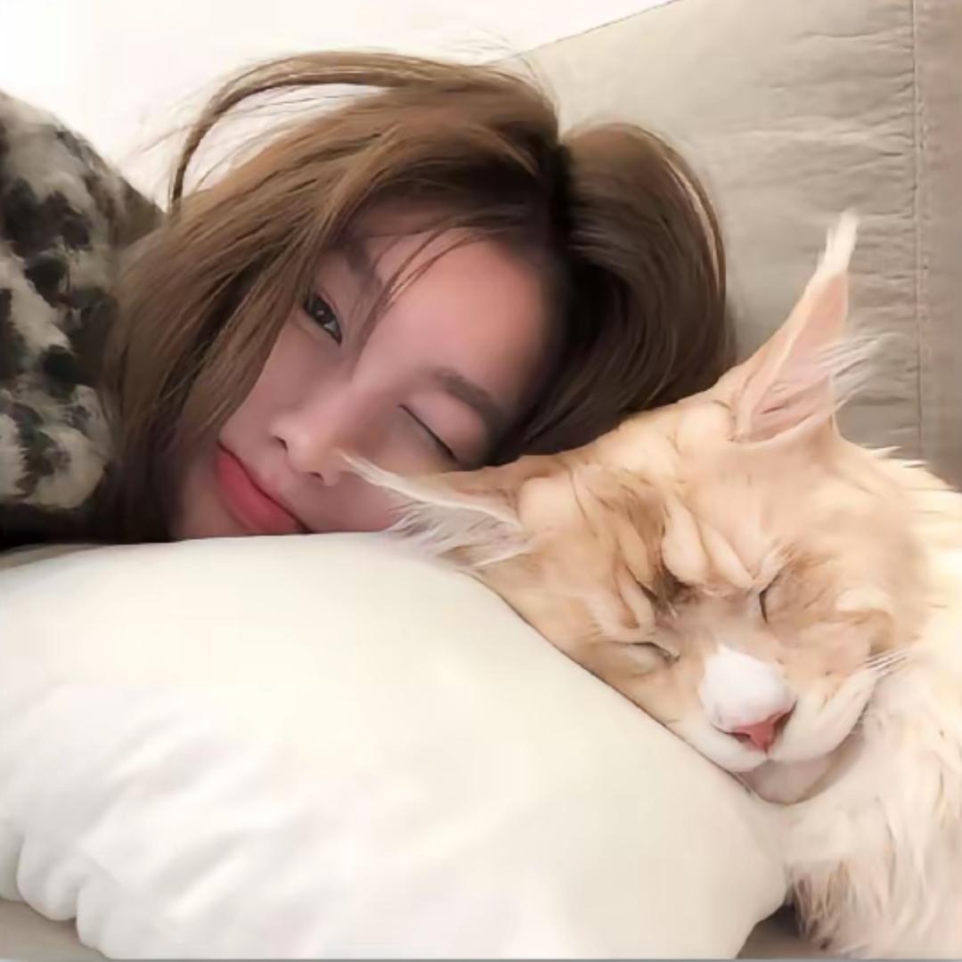 宁子🧸