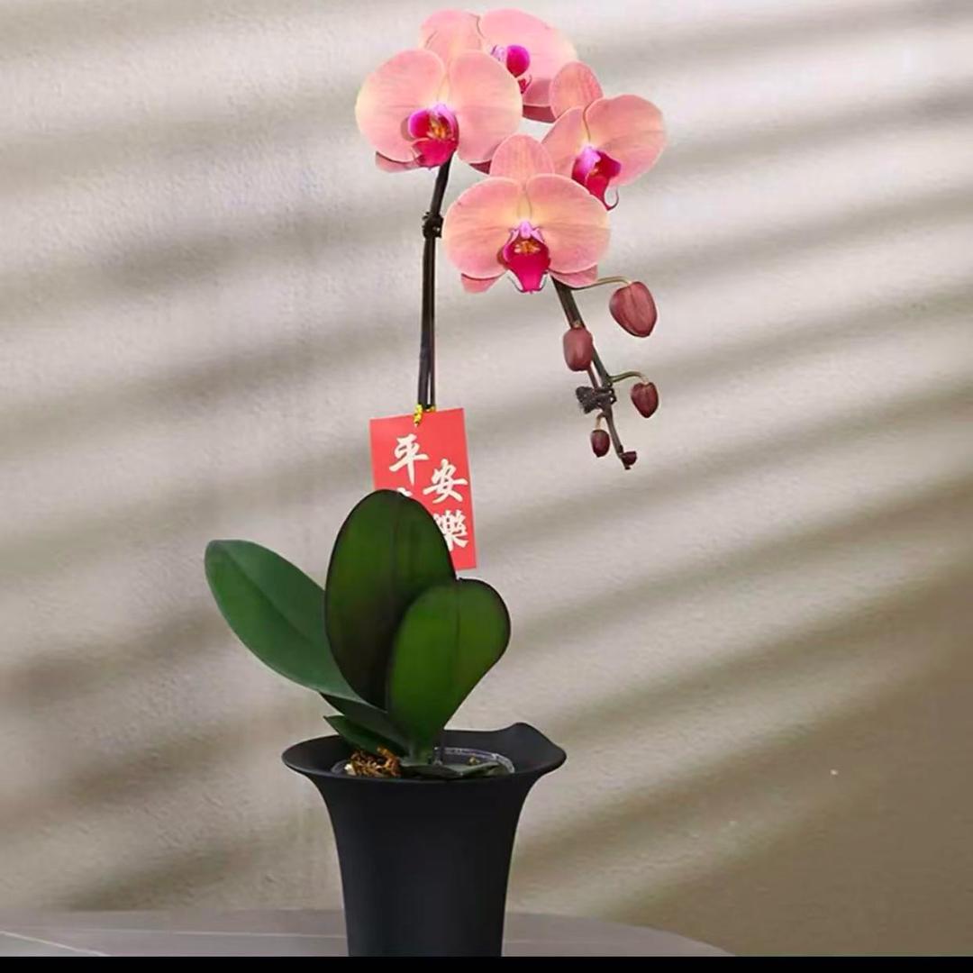 用户138549137893451